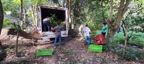 Donación de plántulas contribuirá al aumento de la cobertura forestal de la cuenca