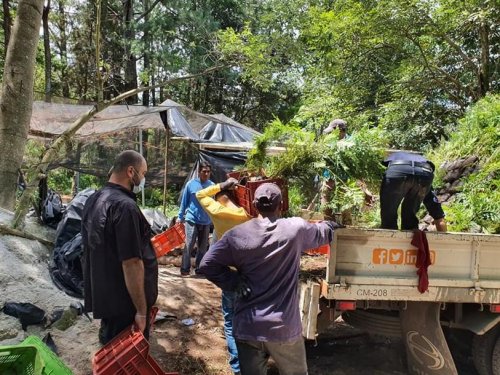 Donación de plántulas contribuirá al aumento de la cobertura forestal de la cuenca