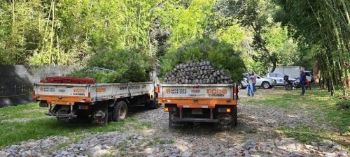 Donación de plántulas contribuirá al aumento de la cobertura forestal de la cuenca