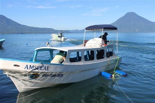 acciones realizadas en coordinación con el Departamento de Investigación y Calidad Ambiental de la AMSCLAE.