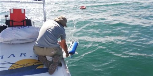 acciones realizadas en coordinación con el Departamento de Investigación y Calidad Ambiental de la AMSCLAE.