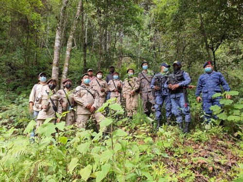 Reforestación contribuye a la recarga hídrica en Aldea el Novillero