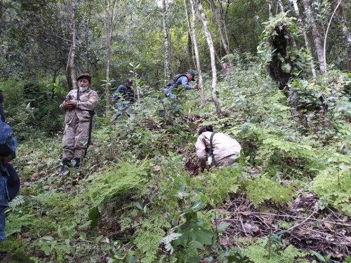 Reforestación contribuye a la recarga hídrica en Aldea el Novillero