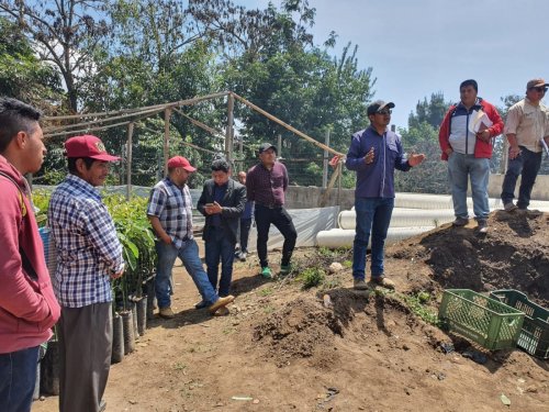 Entrega de plántulas contribuirá a la cobertura forestal de la Cuenca del lago Atitlán