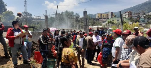 Entrega de plántulas contribuirá a la cobertura forestal de la Cuenca del lago Atitlán