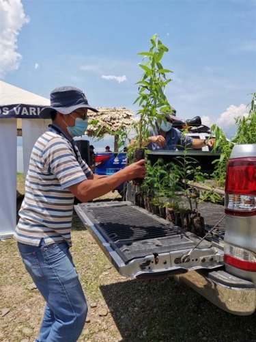 Inicia campaña de reforestación interinstitucional 2021