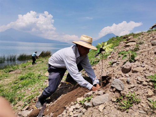 Inicia campaña de reforestación interinstitucional 2021