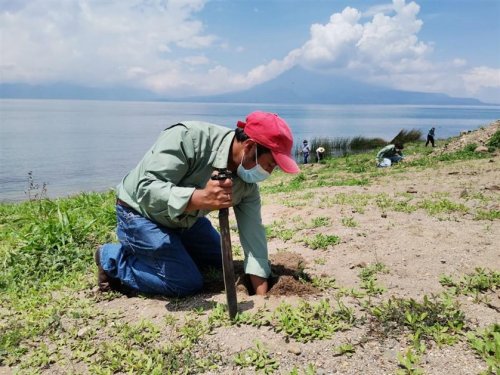 Inicia campaña de reforestación interinstitucional 2021