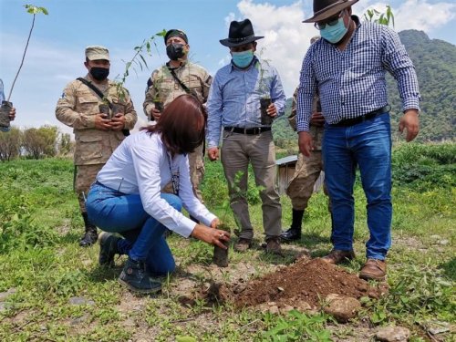 Inicia campaña de reforestación interinstitucional 2021