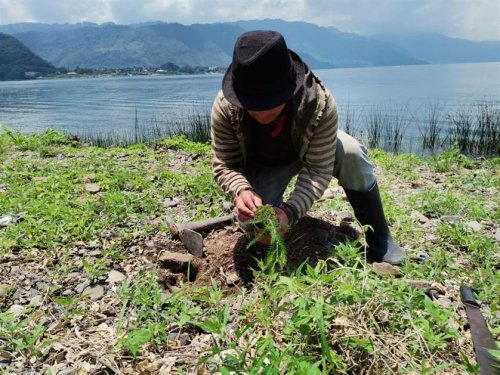 Inicia campaña de reforestación interinstitucional 2021