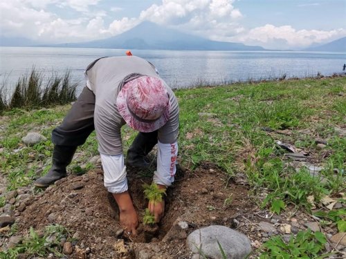 Inicia campaña de reforestación interinstitucional 2021