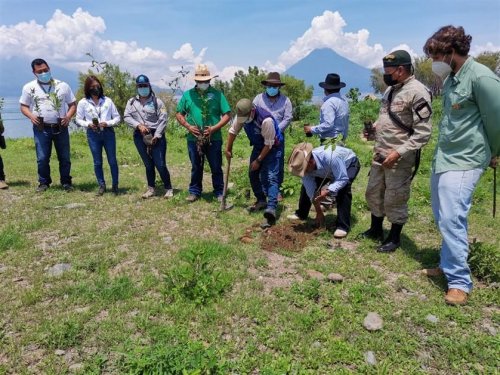 Inicia campaña de reforestación interinstitucional 2021