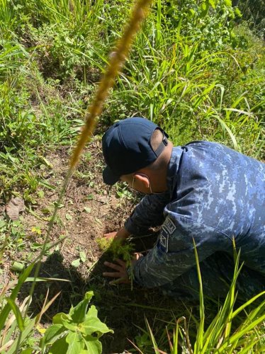 Jornada de reforestación contribuye a la cobertura forestal de la cuenca del lago Atitlán