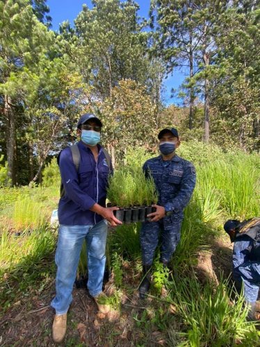 Jornada de reforestación contribuye a la cobertura forestal de la cuenca del lago Atitlán