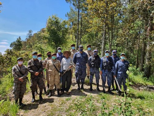 Jornada de reforestación contribuye a la cobertura forestal de la cuenca del lago Atitlán