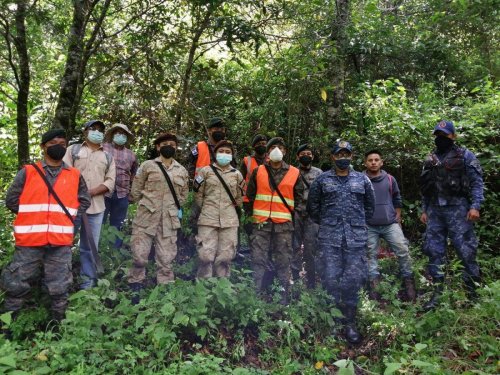 Reforestación interinstitucional contribuye a la cobertura forestal de la Cuenca