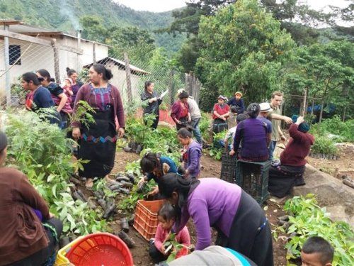 comunidad de Pajomel, Santa Cruz La Laguna,  quienes reforestarán un área de 7.12 hectáreas de suelo