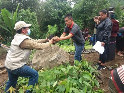 comunidad de Pajomel, Santa Cruz La Laguna,  quienes reforestarán un área de 7.12 hectáreas de suelo