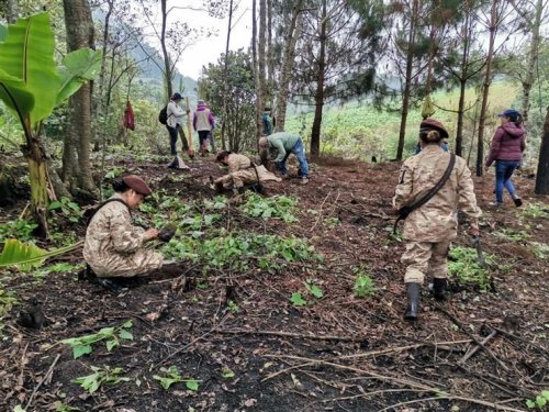 Inicia jornada de reforestación insterinstitucional