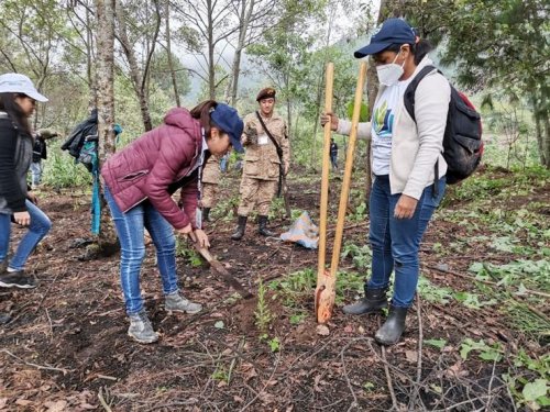 Inicia jornada de reforestación insterinstitucional