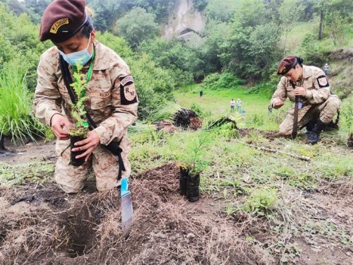 Inicia jornada de reforestación insterinstitucional