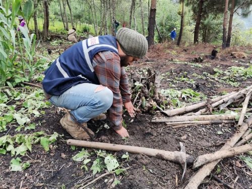 Inicia jornada de reforestación insterinstitucional