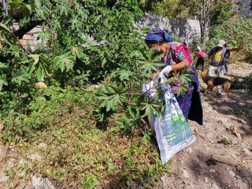 Población de San Marcos la Laguna contribuye al saneamiento ambiental de su municipio