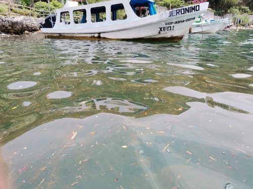 AMSCLAE inspecciona contaminación en Santa Cruz La Laguna