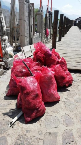 Voluntarios retiran más de 800 libras de desechos en San Juan la Laguna