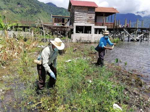 Población de San Juan la Laguna contribuye con el saneamiento ambiental de su municipio