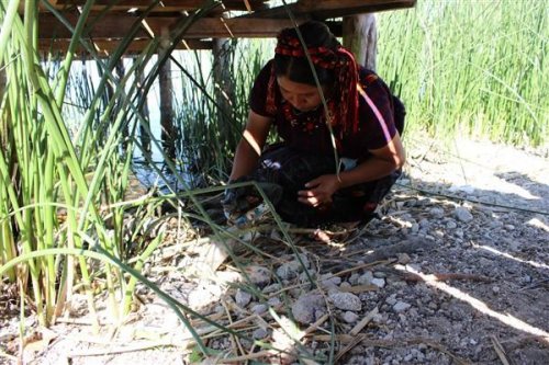 Instituciones se unen para contribuir con el saneamiento ambiental de San Antonio Palopó.