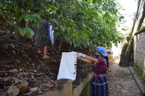 San Marcos la Laguna coordina jornada de limpieza para erradicar la contaminación