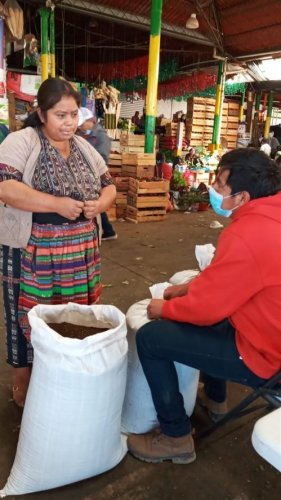 I Venta y promoción de Abono Orgánico "Compost Atitlán"