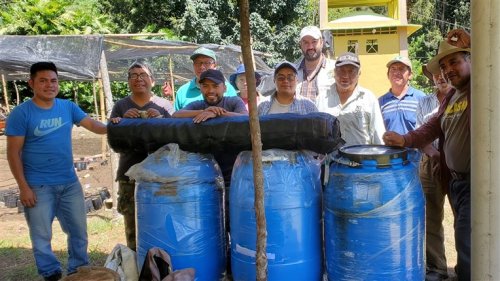 implementación de viveros